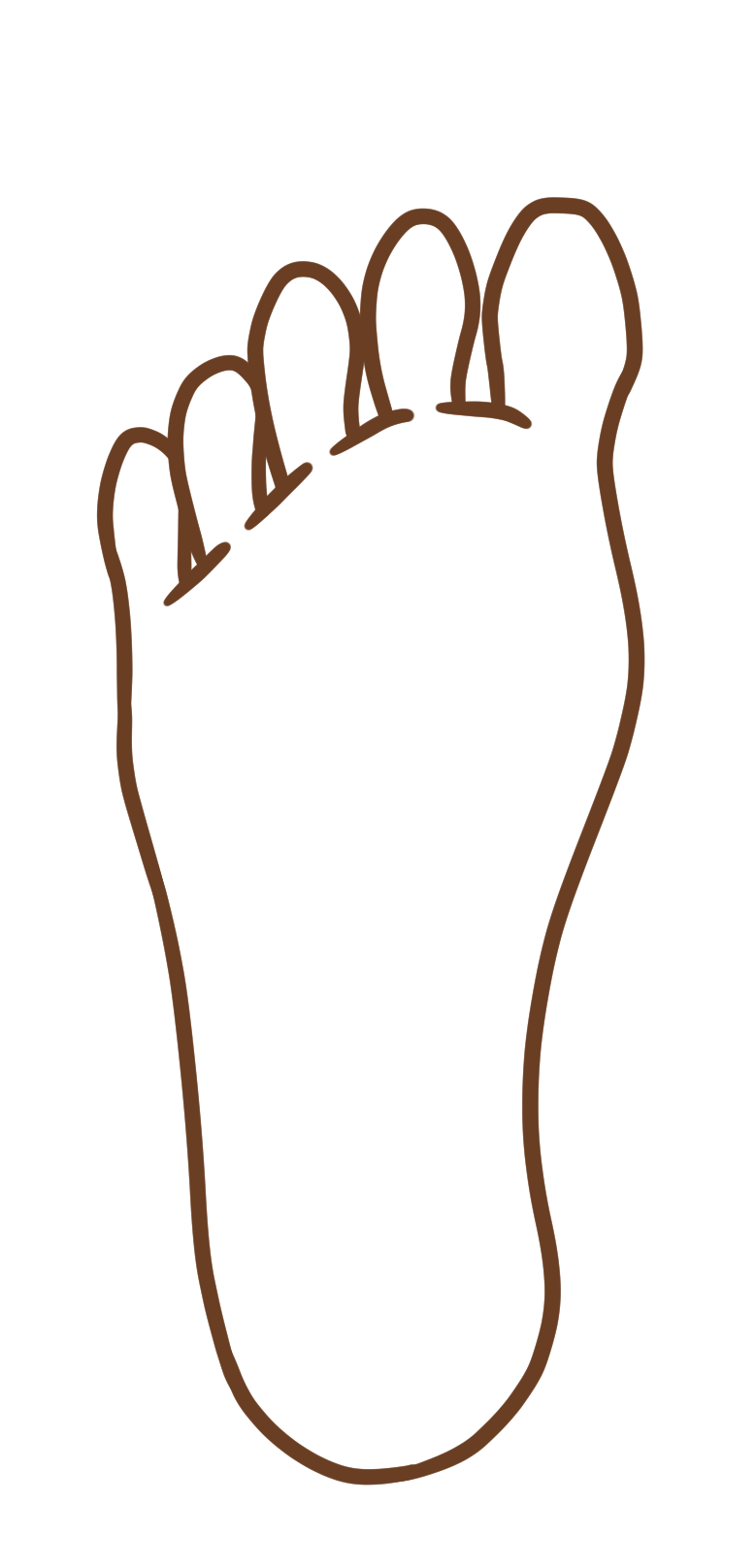 足裏のイラスト